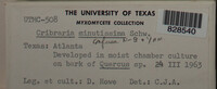 Image Associated With the Occurence